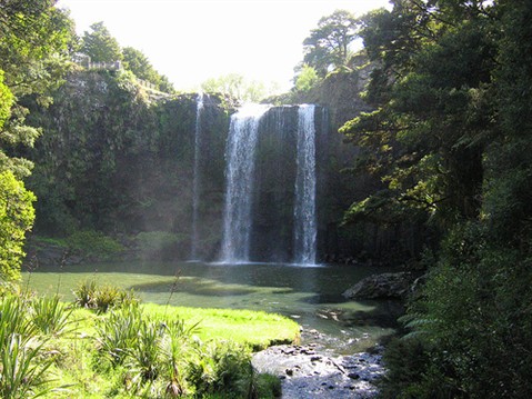 whangarei falls.jpg